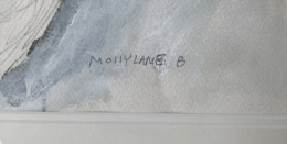 Daisies and Lupins signature