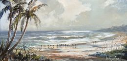 Florida Shorebirds
