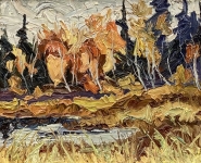 Scene Near Kearney Lake