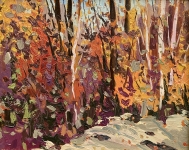 Wood Interior Kedgie